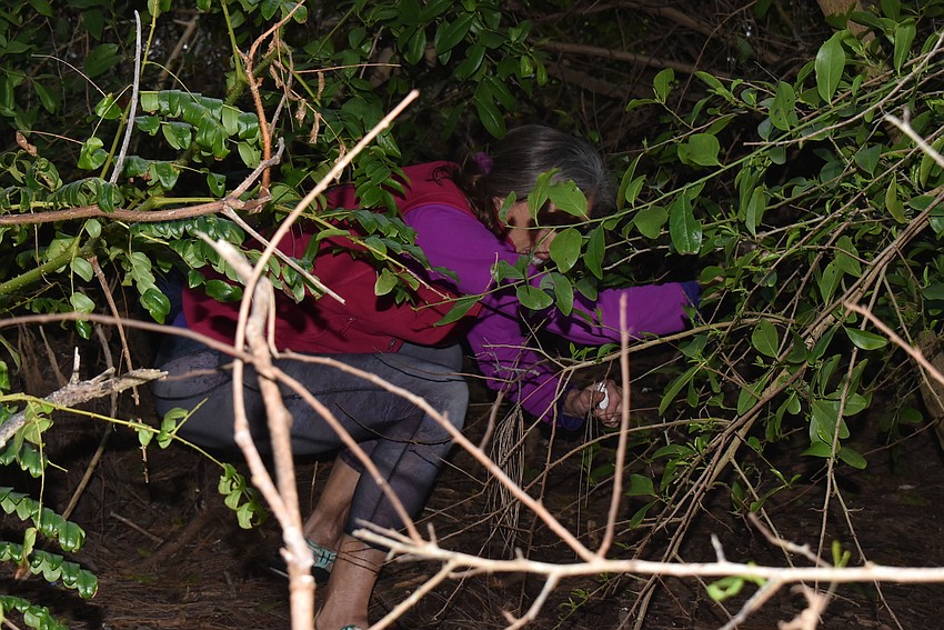 Cyndi Seamon nearly disappears into the mangroves to pick up cans.