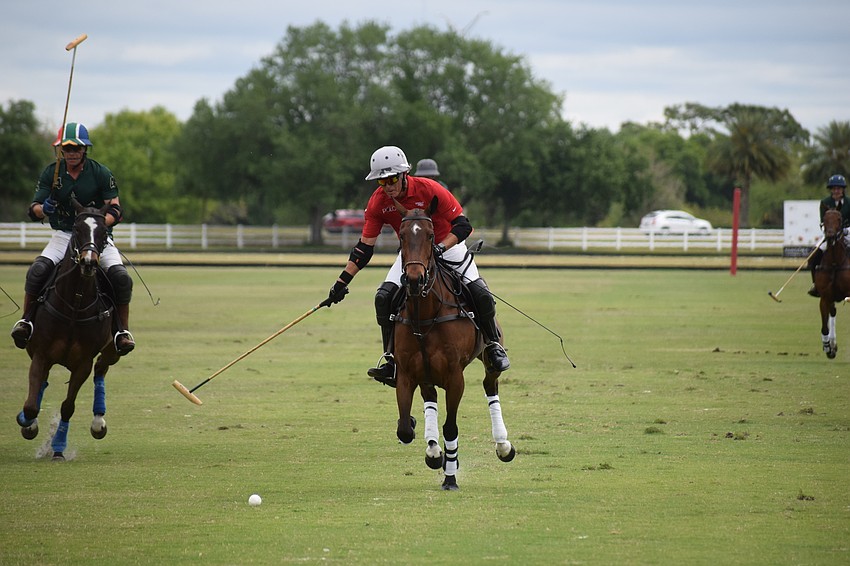 Hillcroft Farm's James Miller in a full gallop.