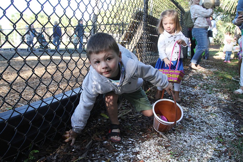 Ethan Thompson reaches down for an egg.