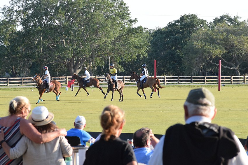Hundreds of people watch a polo match between Hillcroft Farm and Whiskey Pond.