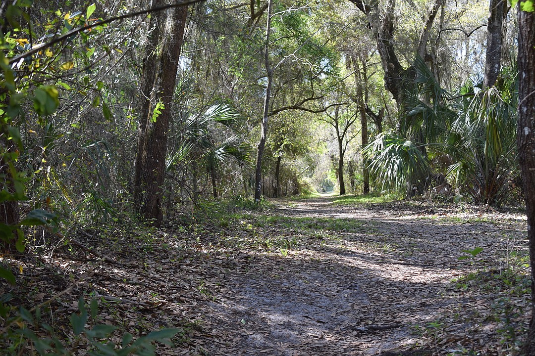 Manatee County trail plan 25 years in the making emerges | Your Observer