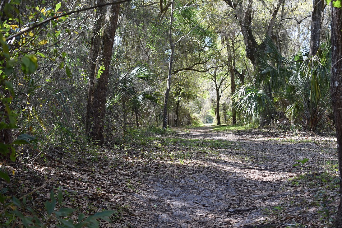 Manatee County could use trails in places like Rye Preserve to build a county trail system.