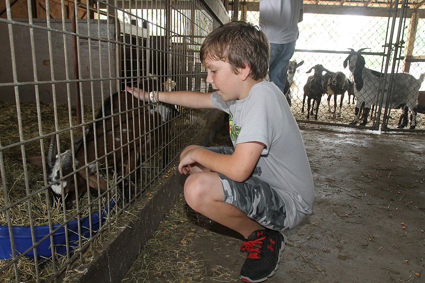 Shawn Griffith pets the goats.
