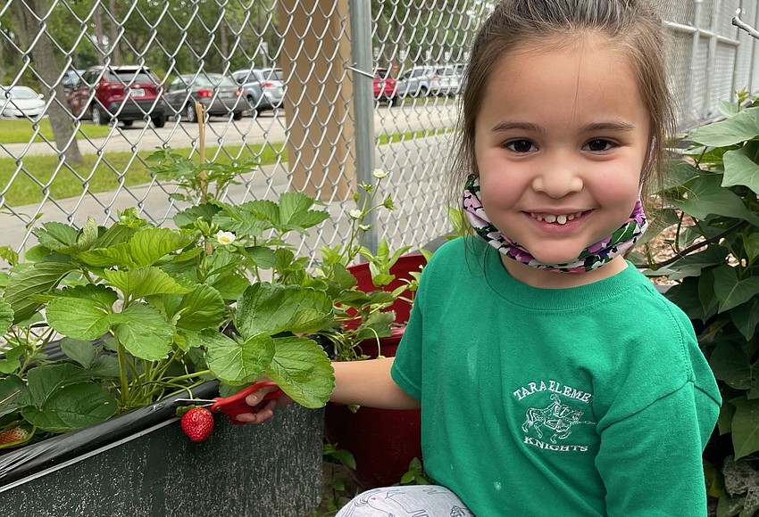 Gardens sprout at east Bradenton schools
