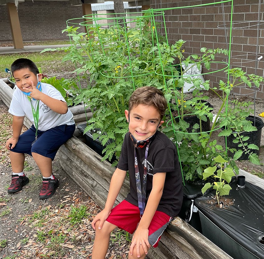Daniel Rivas and Landon Flores, kindergartners at Tara Elementary School, take care of the cherry tomato plants. Courtesy photo.