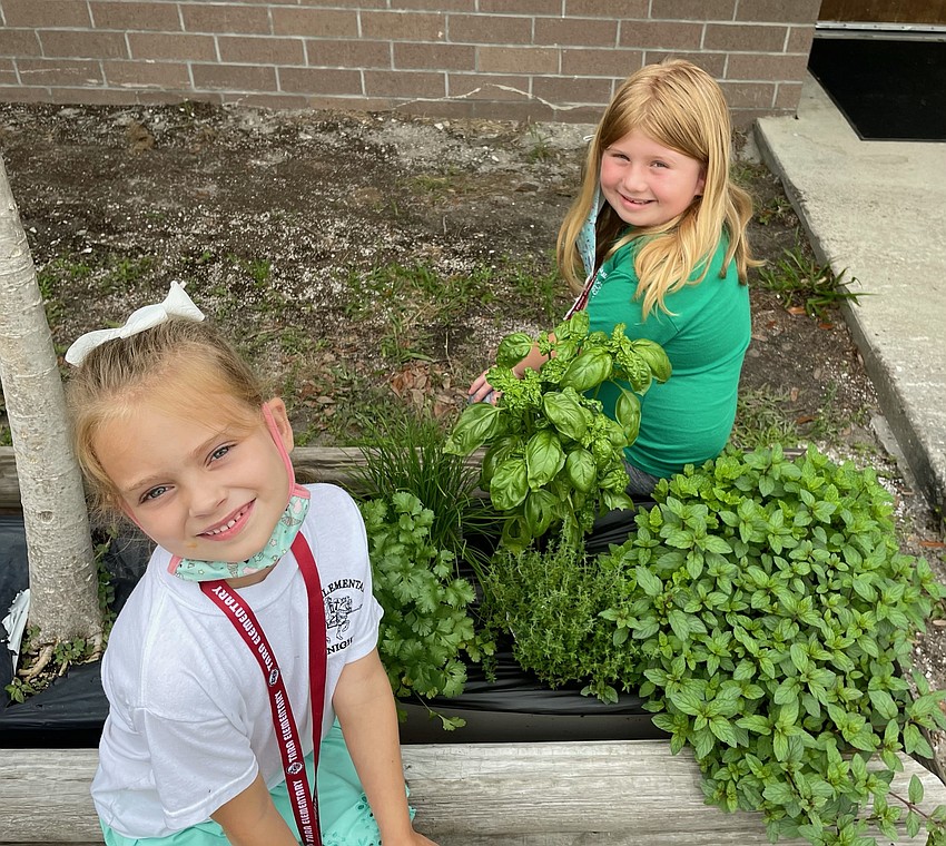 Virginia Lanham and Aubrey Mann, kindergartners at Tara Elementary, take care of the herb garden. Courtesy photo.