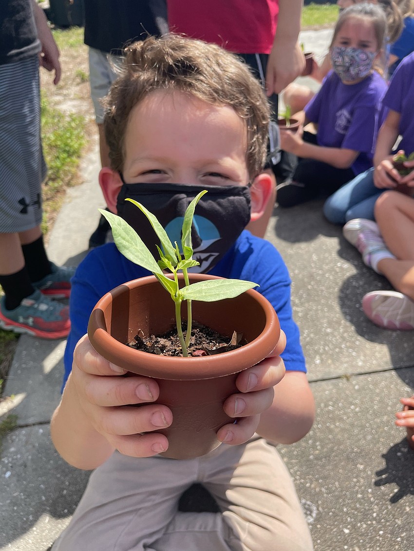 Nathan Owen, a kindergartner at Tara Elementary School, shows off his plant. Courtesy photo.