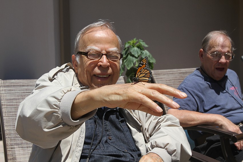 Dick Johnson lets a butterfly rest on his hand.
