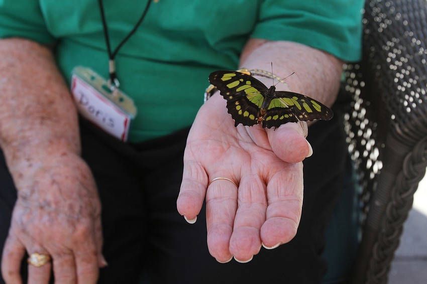 Several members hold various butterflies.