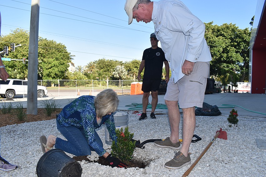Kathleen Wingate drops a plant into its hole.