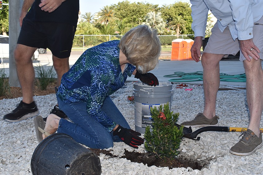 Kathleen Wingate drops a plant into its hole.