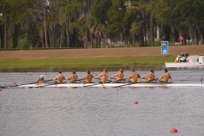 The California II 8+ boat rows in the event's petite final. Cal freshman Angela Szabo (third from left) rowed for Sarasota Crew.
