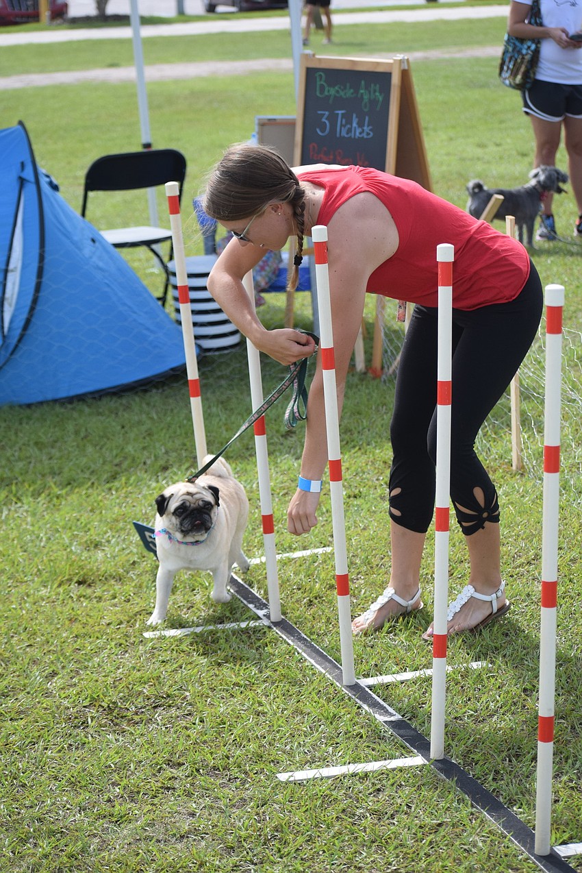 Passie the pug and Paige Lautzenheiser negotiate the obstacle course at Pups at Premier.