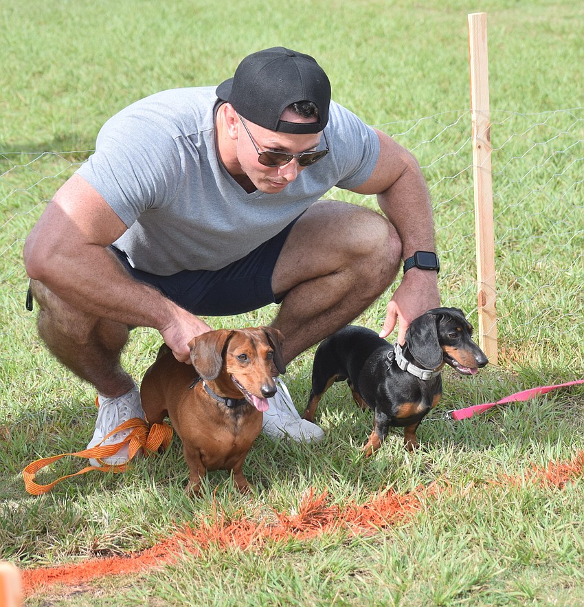 Lakewood Ranch's Charles Lee gets his two mini dachshunds, Hudson and Dexter, ready for the Running of the Pups race.