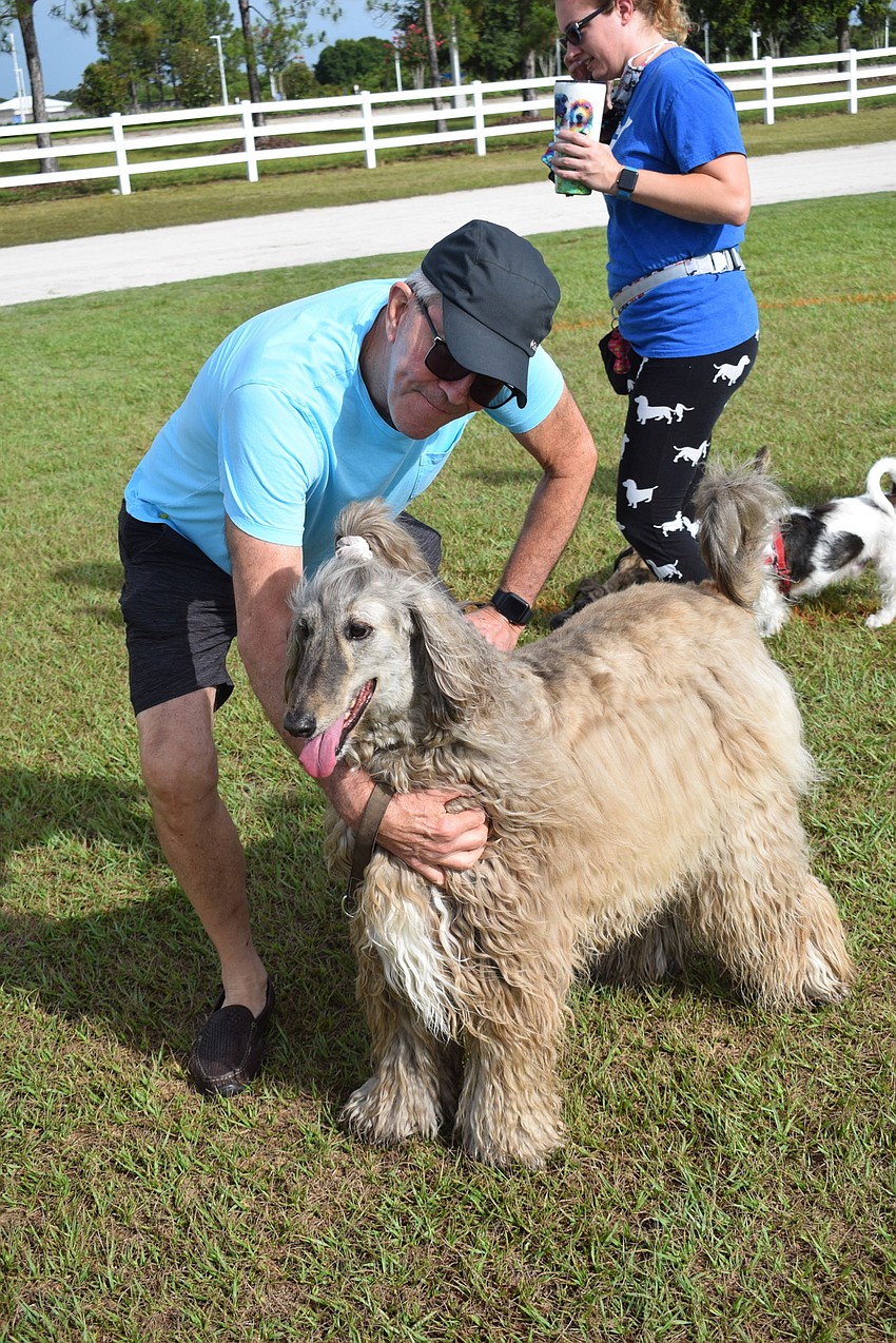 Sarasota's Rich Heibel was being pulled around the event by his Afghan hound Mokii.