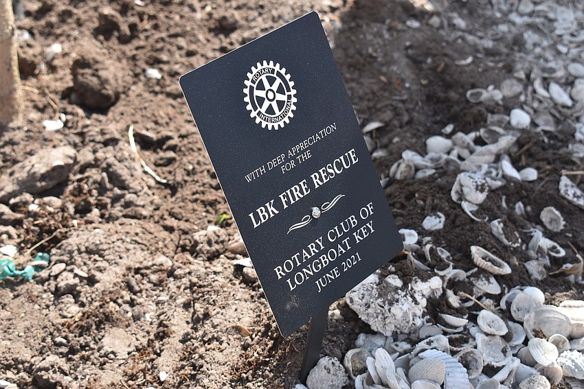 The plaque was nestled tightly in the ground in front of the tree.
