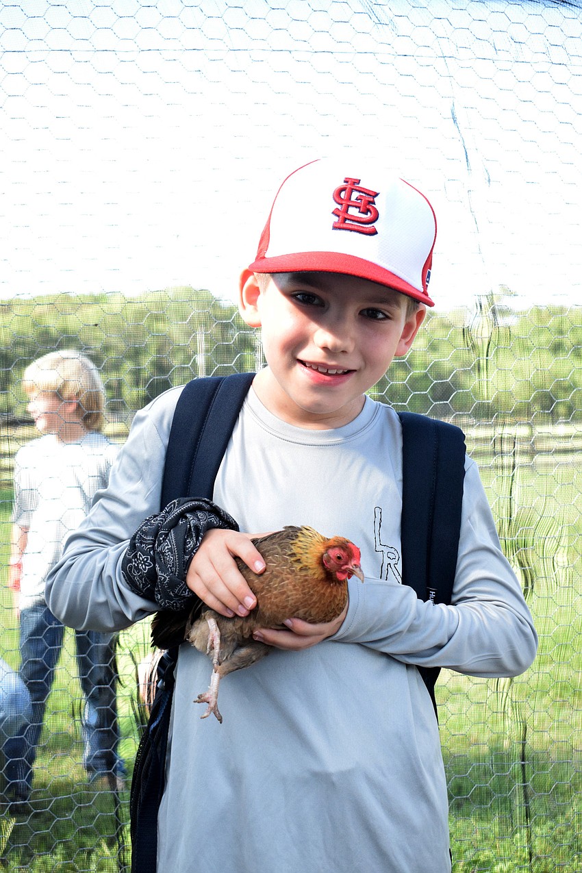 Charlie Wormuth, a rising fourth grader, cares for a chicken.
