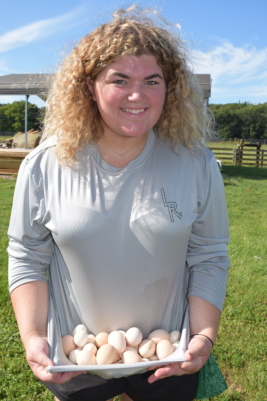 Maddy Hartwig, a rising senior at Lakewood Ranch High School and camp counselor, collects eggs the chickens laid.