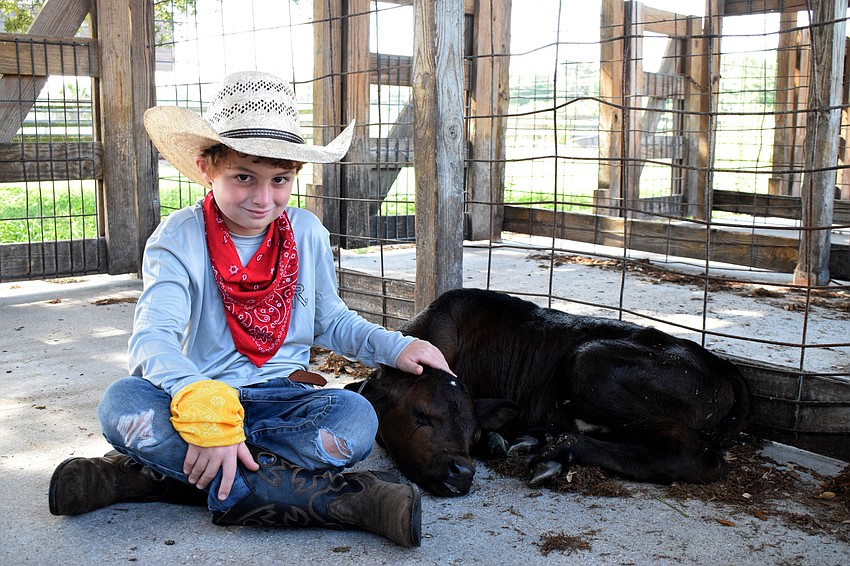 Daniel House, a rising fourth grader at Annie Lucy Williams Elementary School, spends time with a calf he named Buddy.