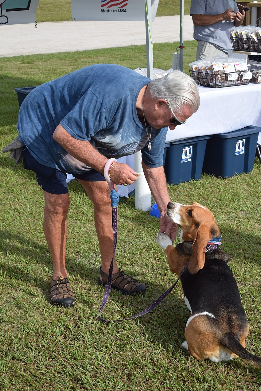 Parrish's Larry Keene says his 4-year-old Basset hound  Lacy, looks the way he feels — laid back.