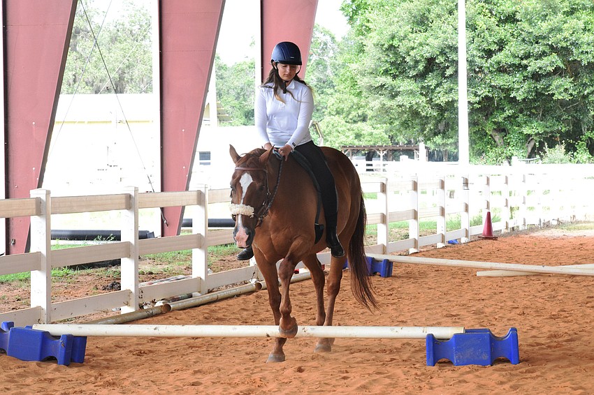 Isabella Hackett, who is 11, has Cherokee walk over a beam. His hooves slightly hit the beam as he went over.