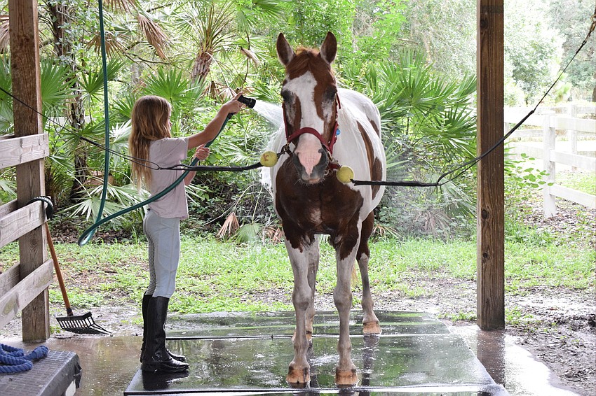 Isabella Rencher, who is 10, washes Gracie after an hour riding together.