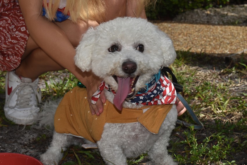 Auggie won honorable mention.