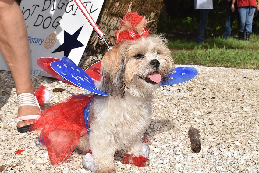 Tinkerbell won Best Owner Dog Combo with Martina Kinslow.