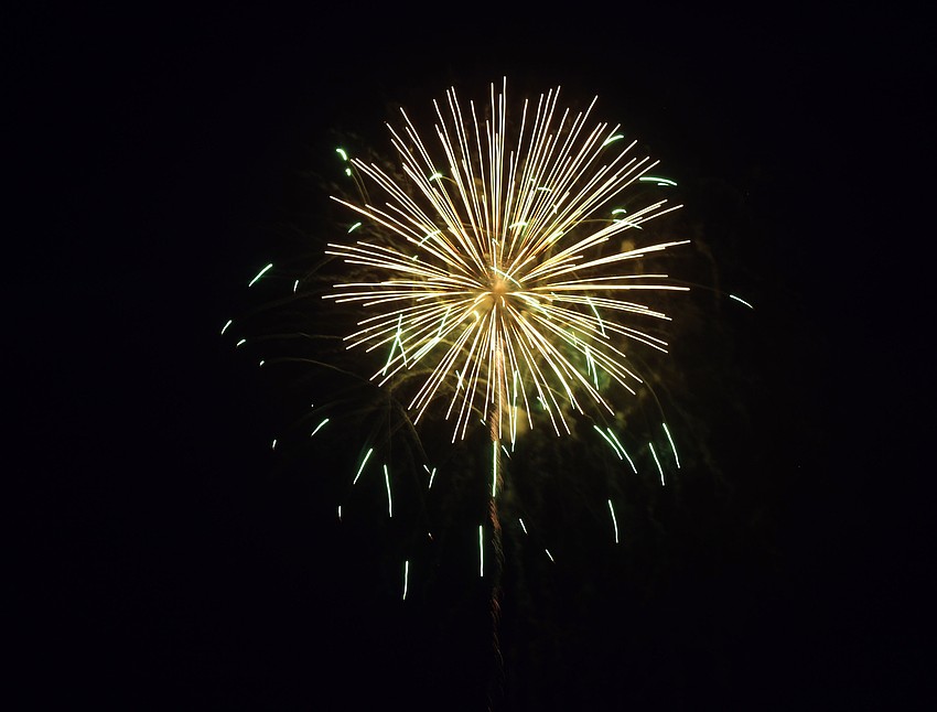 A variety of fireworks were set off during the show.