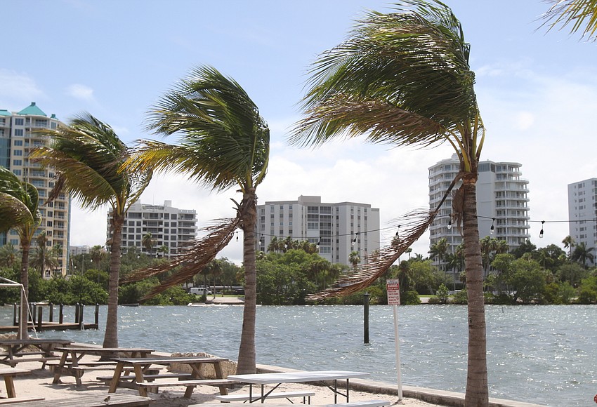 Elsa leaves minimal damage in Sarasota County Your Observer