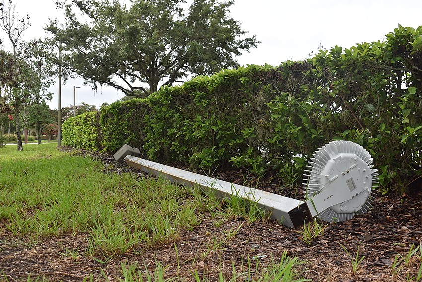 A fallen street light rests in the grass Wednesday morning along Lakewood Ranch Boulevard outside Lakewood Ranch Medical Center. Photo by Brendan Lavell