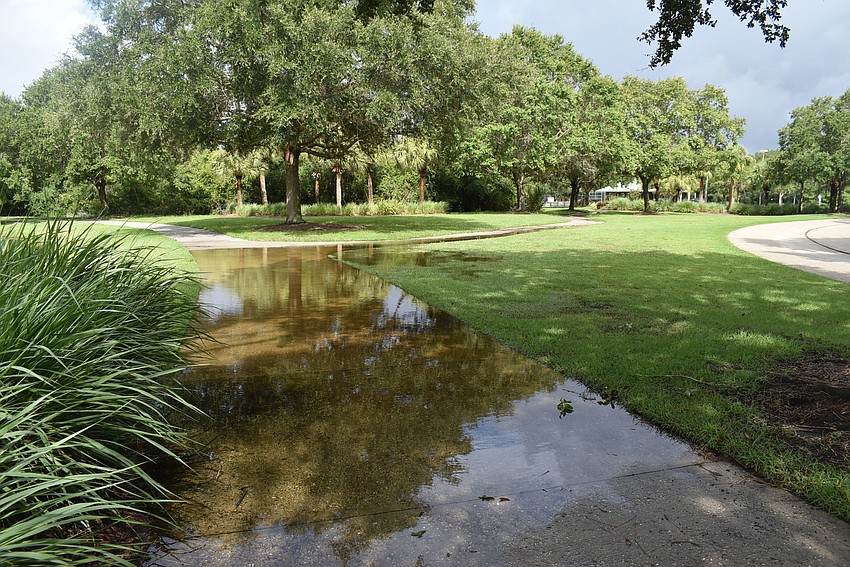 Water pools on the sidewalks of Greenbrook Adventure Park on Wednesday morning. Photo by Brendan Lavell