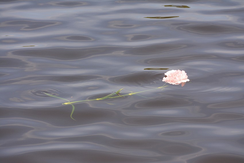 Flowers floated on the water at Nathan Benderson Park following a ceremony at the Sarasota International Dragon Boat Festival that honored paddlers diagnosed with breast cancer.