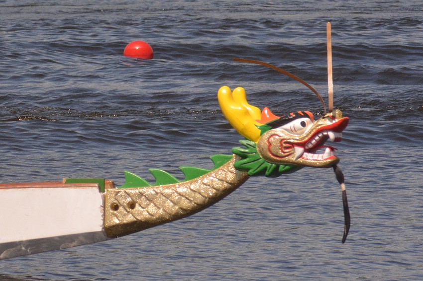 As is tradition, dragon heads and tails gilded each boat at the Sarasota International Dragon Boat Festival, held at Nathan Benderson Park on Saturday.