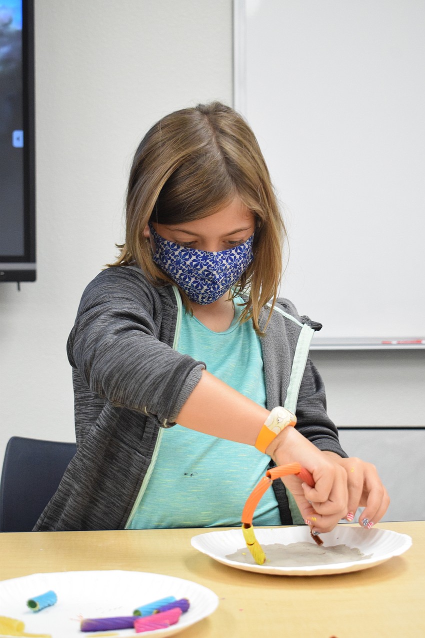Portland Chevalier starts assembling her coral reef.