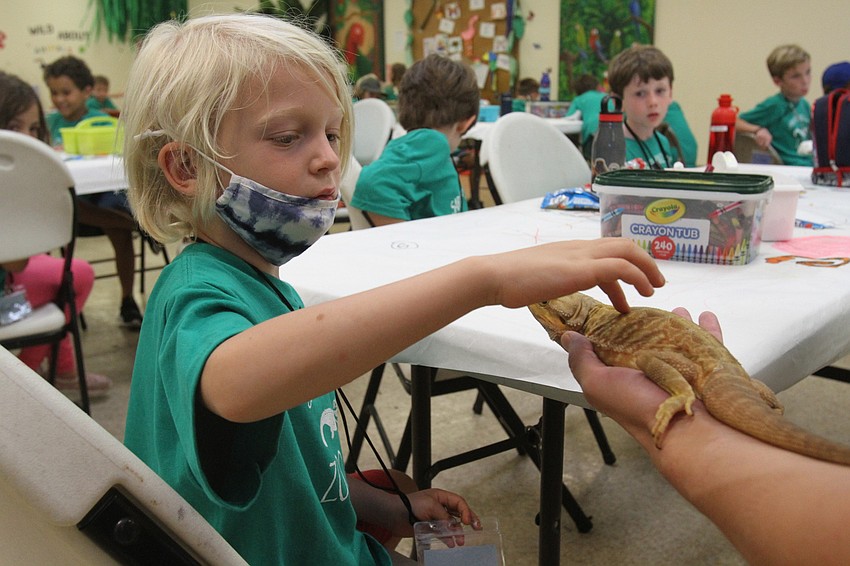 Theo Spinellis pets Potato.