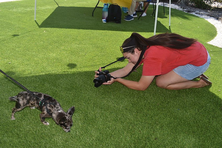 Rachel Merritt gets Bonito for his close-up.