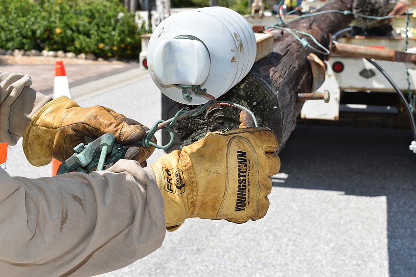 On July 22, Volt Power Co. foreman Jimmy Sasser shows the weathering the copper wires endured on the wooden light poles that workers removed along Birdie Lane.