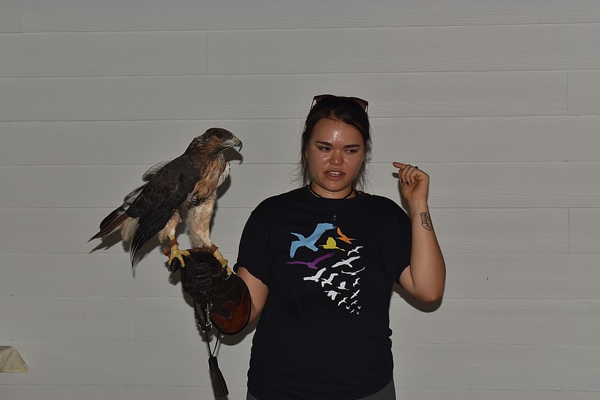 Madilynn Scott and Buck the red-tailed hawk.