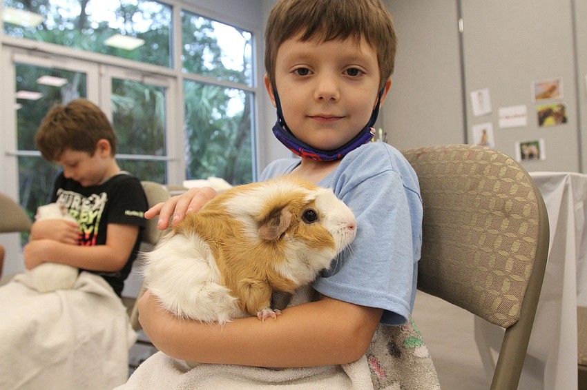 Kayden Mallow, 5, plays with a guinea pig.