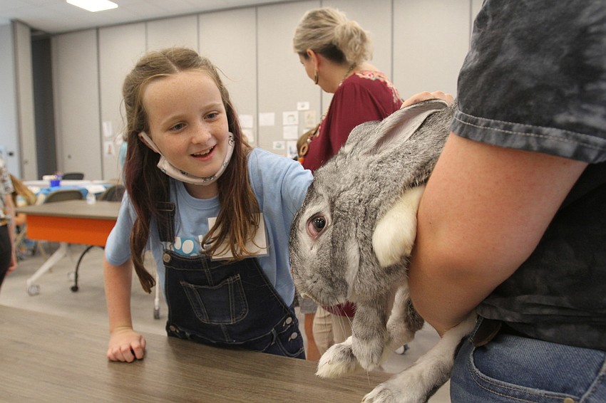 Lily Allison, 10, plays with a bunny