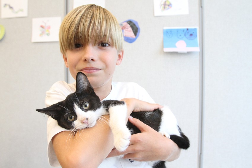 Ean Watson, 8 plays with a kitty.