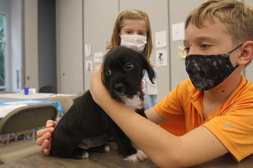 Aiden Frappier plays with a puppy.