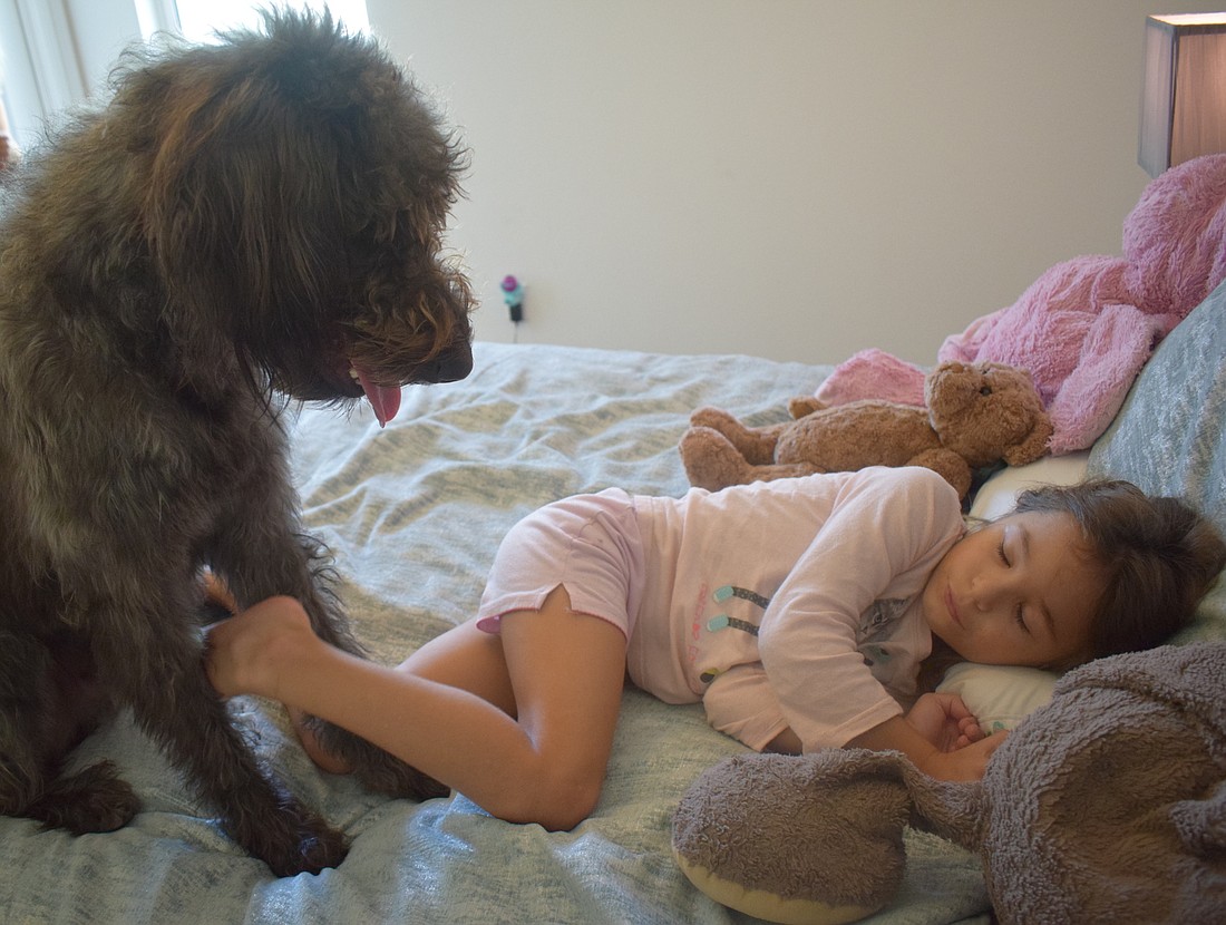Benny the dog is a secret weapon when it comes to getting 5-year-old Mya Medford out of bed for school. He licks her face until she gets up.