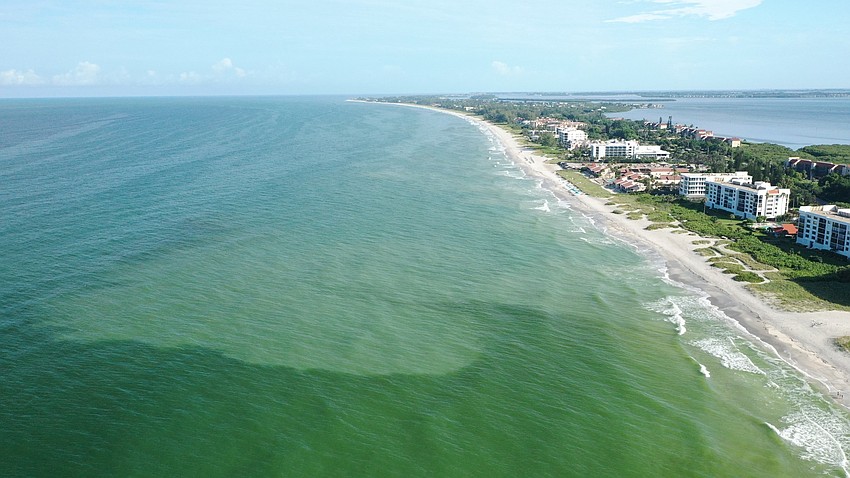 Drone footage captured on Friday by Manatee County crews shows the Gulf of Mexico's red tide conditions right across from Bayfront Park. The darker areas tend to show where concentrations of the red tide algae may be present.