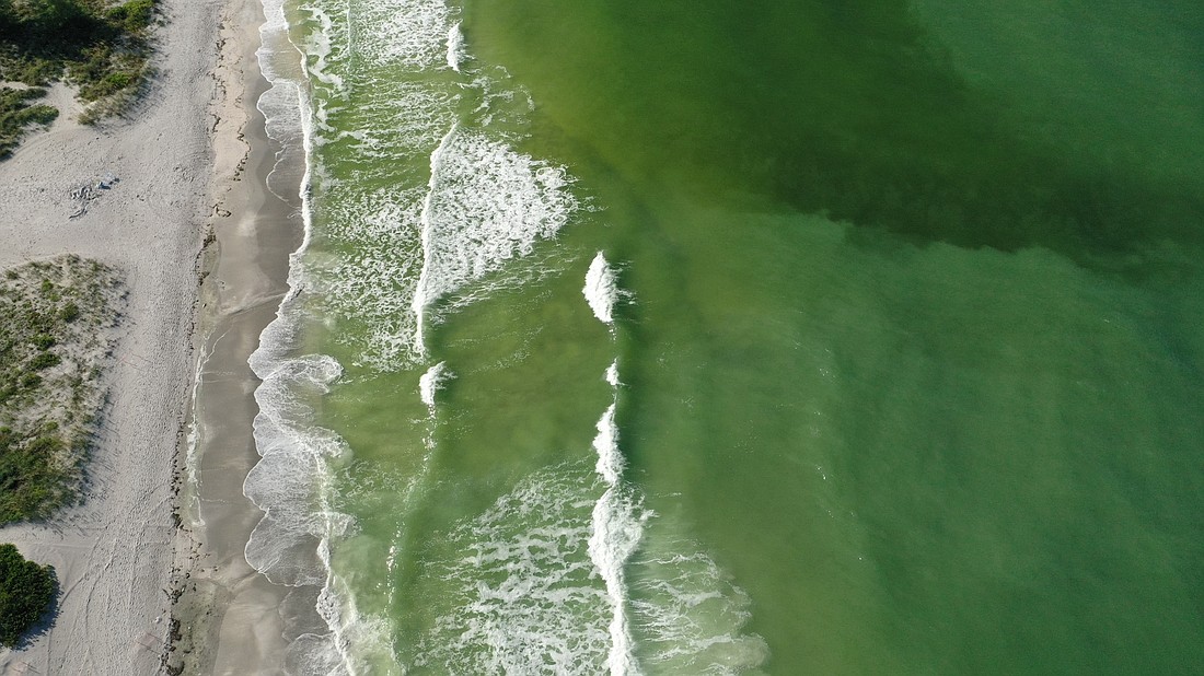 Drone footage captured Aug. 5, 2021, by Manatee County crews shows the Gulf of Mexico's red tide conditions right across from Longboat Key's Bayfront Park. The darker areas tend to show where concentrations of the red tide algae may be present.