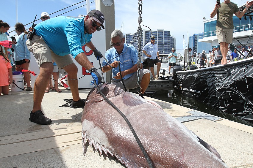 Patrick Lustro gets a warsaw grouper onto the hook.