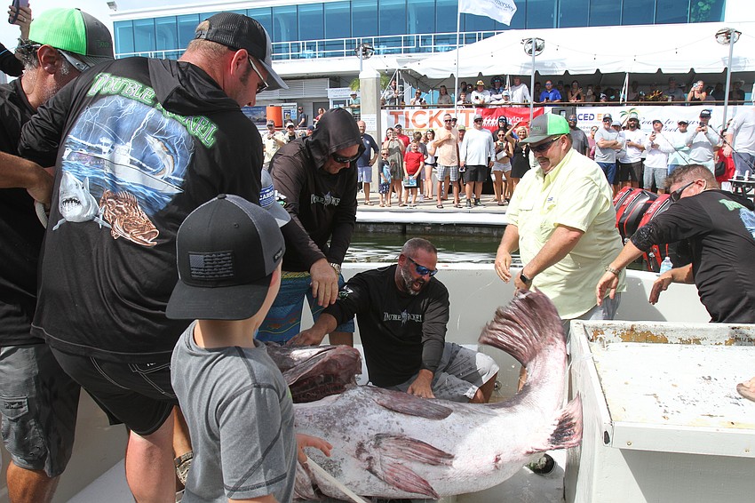 The Double Nickel team drags a 400-pound grouper out onto the dock.