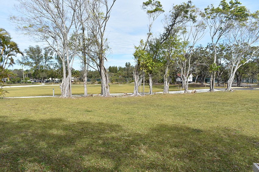 Longboat Key town commissioners considered three different sizes for the Town Center stage concept.