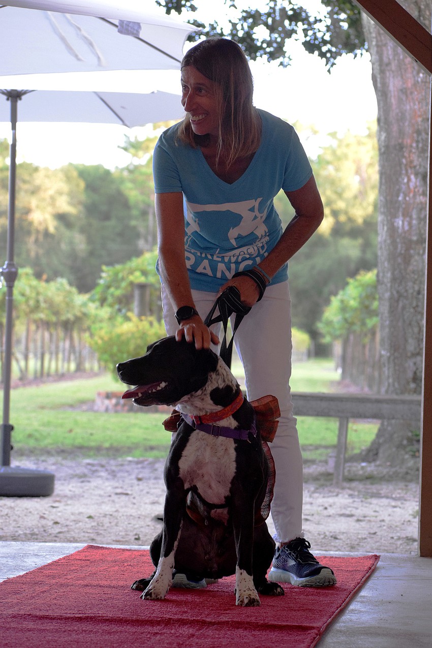 Lucy Kisela, a volunteer with the Humane Society at Lakewood Ranch, smiles at guests before walking down the red carpet with Rose.
